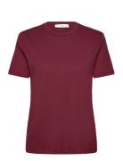 Cotton Short-Sleeved T-Shirt Tops T-shirts & Tops Short-sleeved Red Ma...