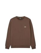 Standard Crew Logo Sweat Fav Tops Sweat-shirts & Hoodies Sweat-shirts ...