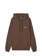 Standard Hoodie Logo Sweat Fav Tops Sweat-shirts & Hoodies Hoodies Bro...