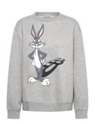 Lami Tops Sweat-shirts & Hoodies Sweat-shirts Grey Munthe