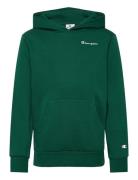 Hooded Sweatshirt Sport Sweat-shirts & Hoodies Hoodies Green Champion