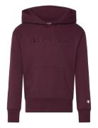 Hooded Sweatshirt Sport Sweat-shirts & Hoodies Hoodies Burgundy Champi...