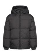 Hood Quilted Coat Fôret Jakke Black Mango