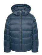 Ls Nylon Zip Off Hood Down Puffe Fôret Jakke Navy Calvin Klein Jeans