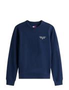 Tjw Reg Ess Logo 1 Crew Ext Tops Sweat-shirts & Hoodies Sweat-shirts N...
