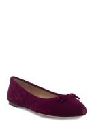 Jayna Iii Velvet Flat Sko Flate Burgundy Lauren Ralph Lauren