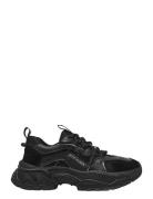Animates-E Lave Sneakers Black Steve Madden