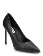 Thrive Shoes Heels Pumps Classic Black Steve Madden