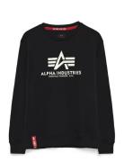 Basic Sweater Designers Sweat-shirts & Hoodies Sweat-shirts Black Alph...