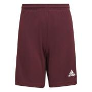 adidas Shorts Squadra 21 - Burgunder/Hvit Barn