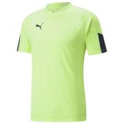 PUMA Trenings T-Skjorte IndividualFINAL - Grønn/Blå