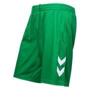 Danmark Keepershorts 2023/24