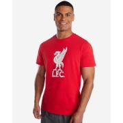 Liverpool T-Skjorte Liverbird - Rød