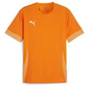 PUMA Trenings T-Skjorte teamGOAL - Rickie Orange/Hvit