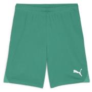 PUMA Fotballshorts teamGOAL - Grønn/Hvit