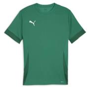 PUMA Trenings T-Skjorte teamGOAL - Grønn/Sort