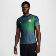 Nigeria Trenings T-Skjorte Dri-FIT Academy Pro Pre Match - Cool Grey/L...