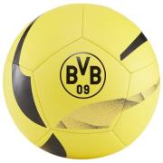 Dortmund Fotball Pre Match - Gul/Sort