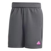 Tyskland Travel Shorts - Sort