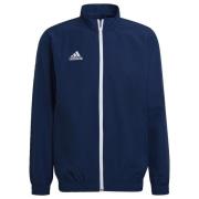 Adidas Entrada 22 Presentation Jacket