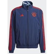 Adidas FC Bayern Anthem Jacket