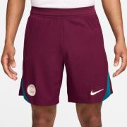 Paris Saint-Germain Treningsshorts Dri-FIT ADV Strike Elite - Bordeaux...