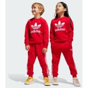 Adidas Original Adicolor Crew Set Kids