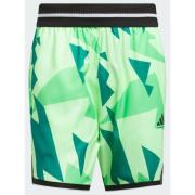 Adidas adidas Crazy Lite Shorts