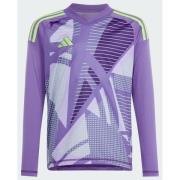 Adidas Tiro 24 Competition Long Sleeve Goalkeeper Jersey