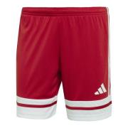 adidas Shorts Squadra 25 - TEPORE/Hvit