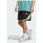 Adidas adidas Crazy Lite Shorts