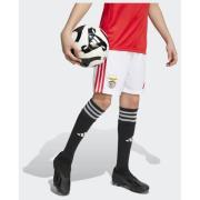 Adidas Benfica 25/26 Home Shorts Kids