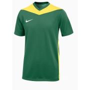 Nike Spillerdrakt Dri-FIT Park Derby IV - Grønn/Tour Yellow/Hvit Barn
