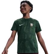 Chelsea Trenings T-Skjorte Dri-FIT Academy Pro Pre Match - Grønn/Grønn...
