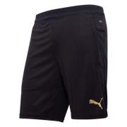 Galatasaray Treningsshorts - PUMA Svart