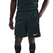 Nike Treningsshorts Dri-FIT Strike - Grønn/Gønn
