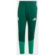 Adidas Algeria 26 Training Pants