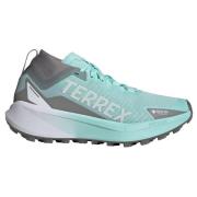 Adidas Terrex Agravic GTX Trail Running Shoes