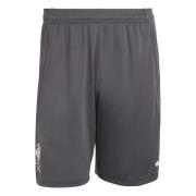 Liverpool Treningsshorts Tiro 25 - Svart