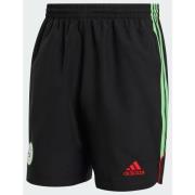 Adidas Algeria UBP Shorts