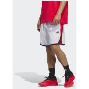 Adidas adidas Crazy Lite Shorts