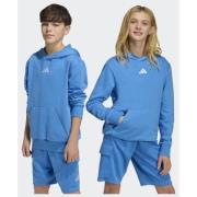 Adidas Essentials Hoodie Kids