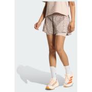 Adidas Terrex Xploric 2in1 Shorts Printed