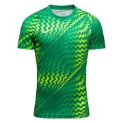 Nike Keeperdrakt Dri-FIT Gardien VI - Grønn/Hvit Barn
