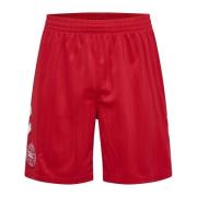 Danmark Borteshorts 2026/27