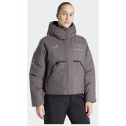 Adidas AUDI REVOLUT F1 TEAM ENGINEERS & MARKETING PADDED JACKET