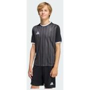 Adidas Entrada26 Graphic Jersey Kids