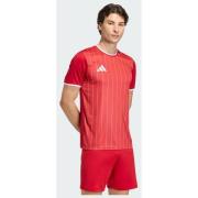 Adidas Entrada26 Graphic Jersey
