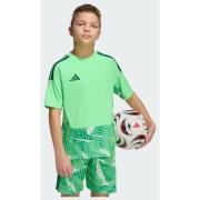 Adidas TIRO26 COMPETITION GOALKEEPER JERSEY SHORT SLEEVE