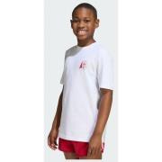 Adidas Originals LOOSE FOODSTAND Tee